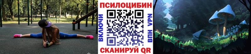 закладка  Кашин  Галлюциногенные грибы MAGIC MUSHROOMS 